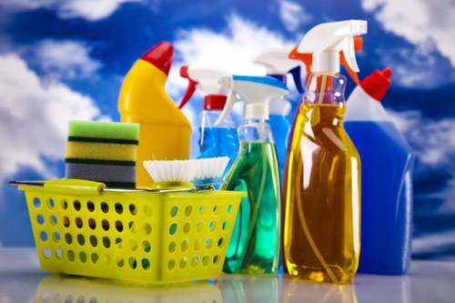 Professional carpet cleaning in progress in a home interior