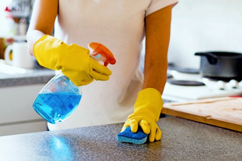 Cleaning team assessing carpet cleaning risks in a property