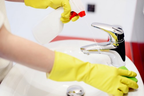 Professional window cleaning for Brompton homes and flats