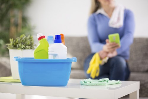 Professional carpet cleaning for pet urine stains in Brompton