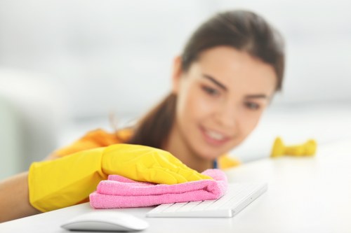 Professional stain removal assessment for Brompton carpet and upholstery