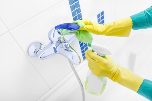 Inclusive digital access statement for Brompton carpet cleaners