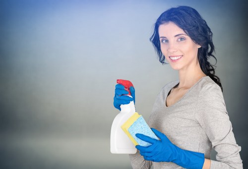 Careful cleaning of windows, frames, and sills in Brompton